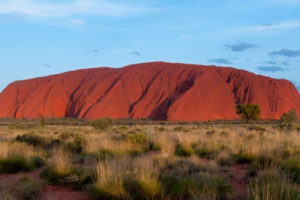 roter Berg mit Gräsern im Vordergrund